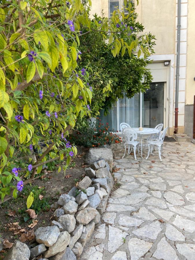 Le P'tit Mandarinier Canet (Aude)